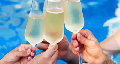 Boca Raton pool service project preview by Pool Panthers