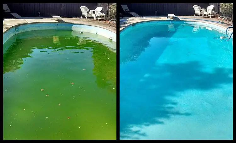 Technician performing green to clean pool service in Boca Raton on a cloudy swimming pool